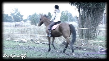 Lʏʏʟɪ ~ Cᴀᴜsᴇ Yᴏᴜ