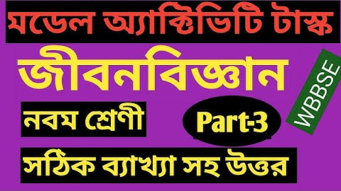 model activity task class 9 life science ||Part-3|| সঠিক ব্যাখ্যা সহ উত্তর ||