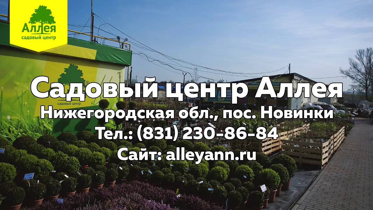 Белая Аллея Интернет Магазин Нижний