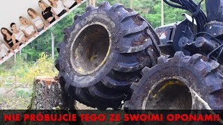 Zrąb dłużycy + zapowiedź sesji z modelkami, czyli nowe opony leśne Alliance 644 w akcji!