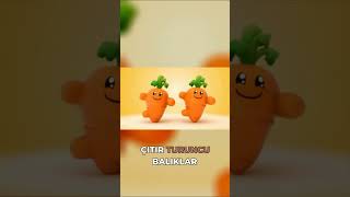 Turuncu Her Yerde Havuç, Balık, Güneş Renkli Dünya