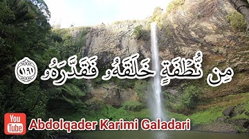 سورة عبس مكتوبة - بصوت القارئ الشيخ عبدالقادر كريمي كلداري