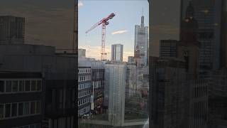 FRANKFURT MOMENT 🇩🇪 Zeil from a bird's eye view #shorts