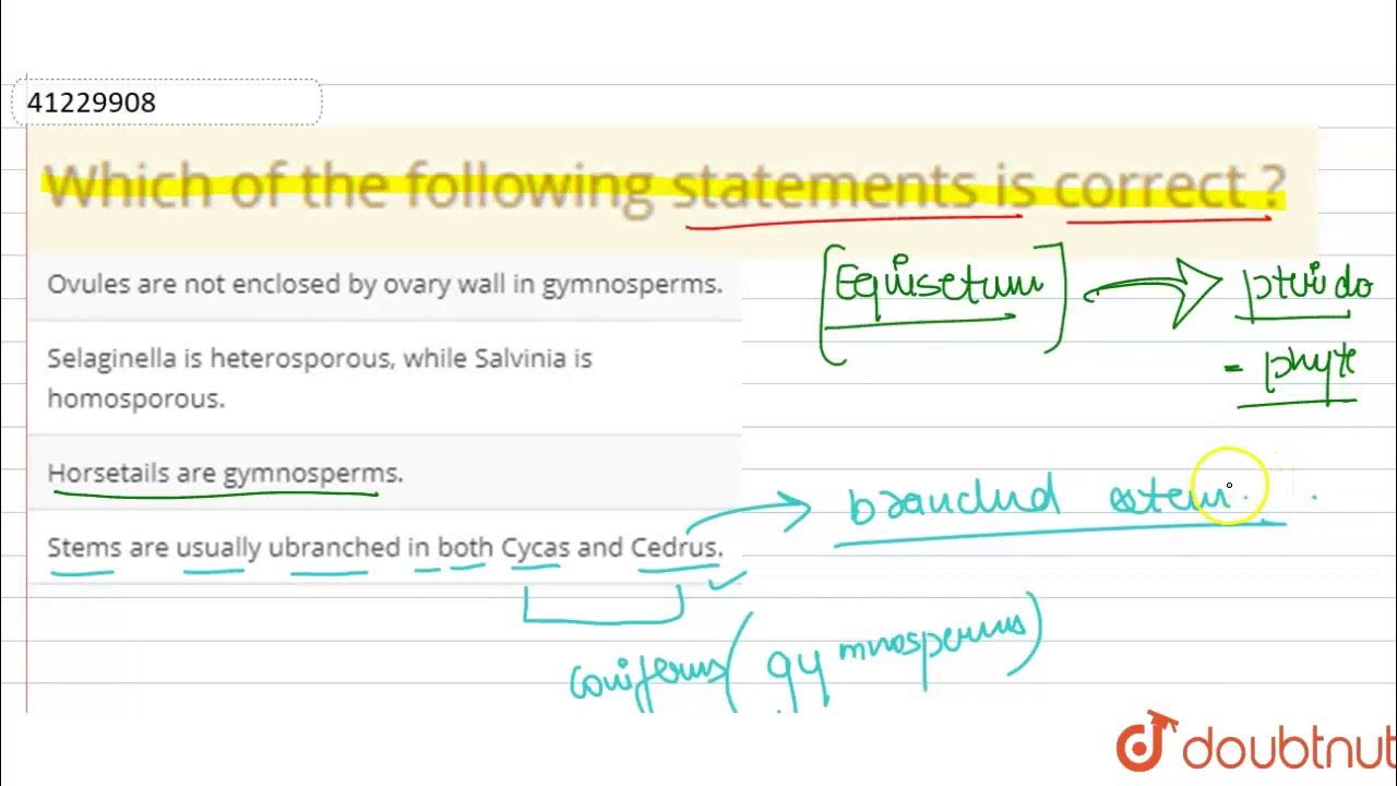 Which Of The Following Statements Is Are Correct Which of the following statements is correct ? - YouTube