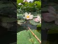 🎣 Title: Amazing Fish Trap Technique | Smart Fishing Method 🐟