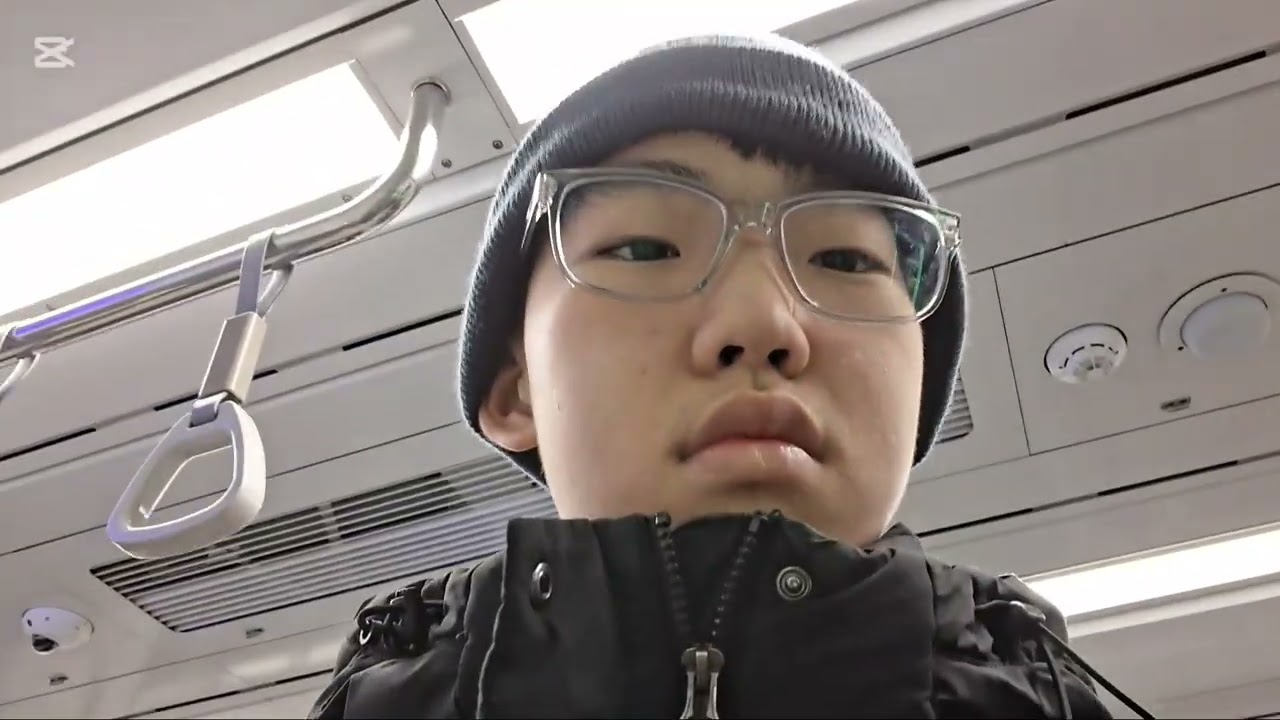 종합운동장에서 가면서 올림픽공원,여의도 한강공원,동대문 역사문화공원에 보러갔다.