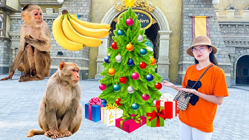 Changcady đi sở thú chơi cùng các con vật, cho con khỉ, con dê, con cừu ăn - Part 162