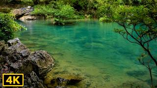 Hidden Emerald Forest Stream Sounds | Crystal Clear Nature Water for Deep Sleep & Relaxation 4K