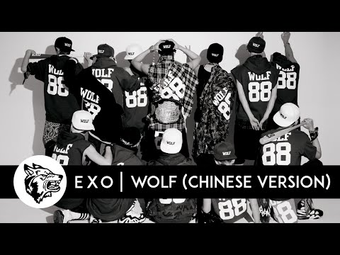 EXO - Wolf [Audio] (Chinese Version)