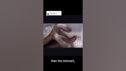 PART 3 programmer stereotypes #fireship #programming  #stereotypes #technology #tech #techtok #fyp