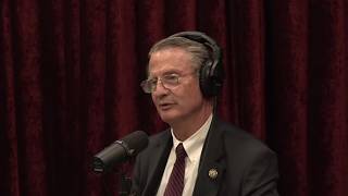 Joe Rogan Experience #2495 - Tim Burchett – Podcast Recap