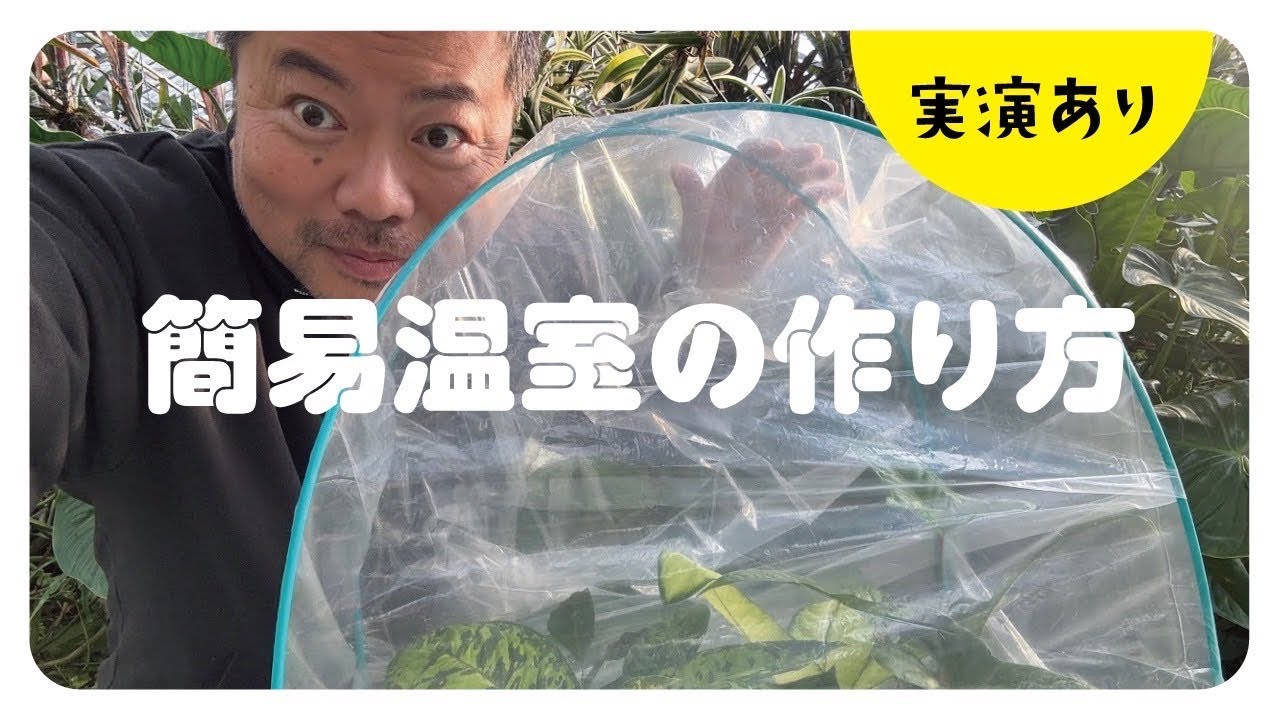【取引中】温室【自作】 Work video] How to make a simple greenhouse and points to note