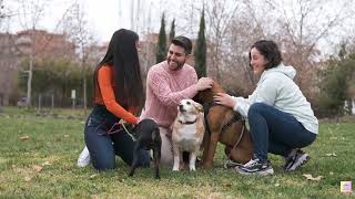 7 Delightful Glees In Keeping 'n' Caring For A Pet
