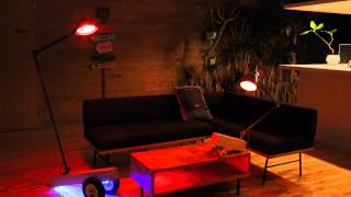 ［Sponsored］「Philips hue（フィリップス ヒュー）」でアプリ「Ambify」を使って音楽を聴いてみた