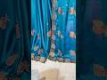 Latest Trendy Party Wear Saree Design ✨Beautiful Saree Design#shorts #fashion #saree #shortsfeed