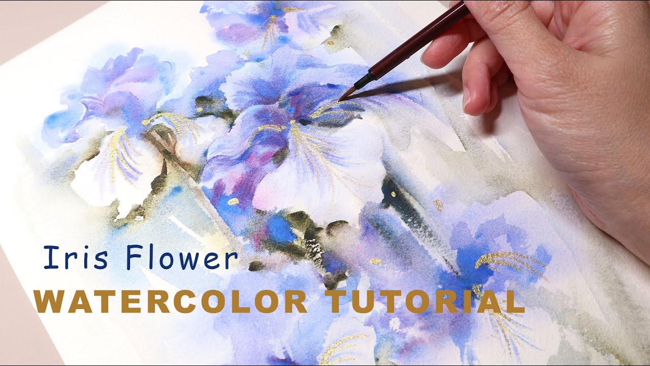 アイリスの(水彩画 2018年 ) アイリスの(水彩画 2018年 ) アイリスの(水彩画 2018年 ) mqdefault.jpg