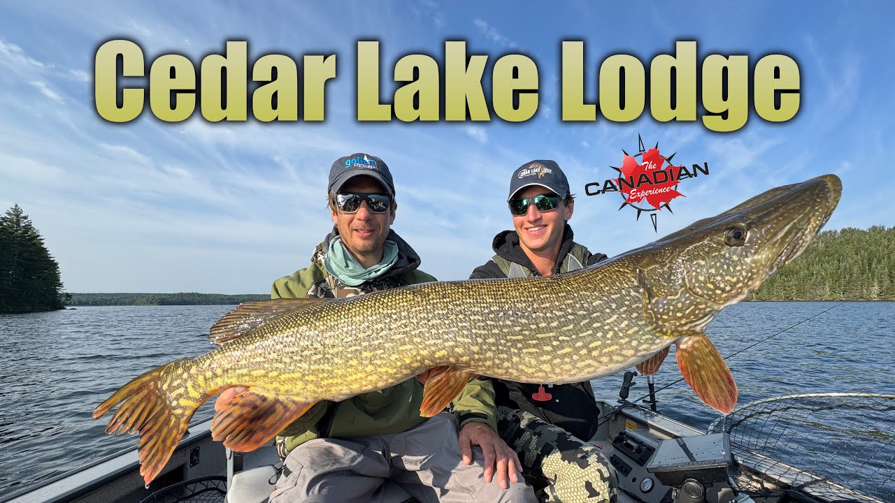 Трофейная рыбалка на судака, щуку и маскусака — Cedar Lake Lodge