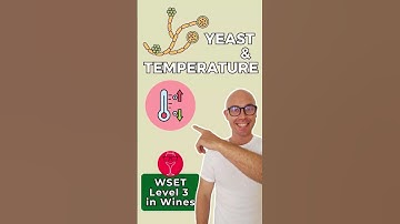 Yeast & Fermentation Temperature in Winemaking | WSET Level 3 in Wines #WSETLevel3 #winemaking
