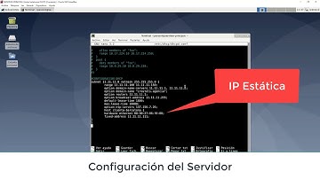 Producto 3 - Servidor DHCP