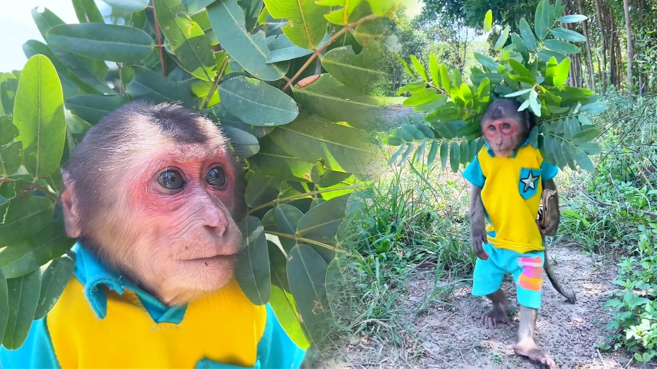 Unexpected Hero! SU Hilarious Warrior Disguise Fight Funny Target!