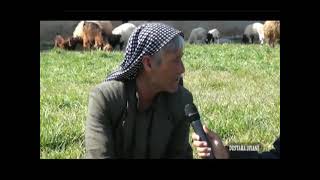 Çîroka Teyar Û Xezalê قصة طيار وغزالي