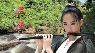 Instrumental Chinese Music - Guzheng &amp; Bamboo Flute- Instrumental Music for Learning &amp; Sleeping