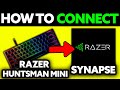 How To Connect Razer Huntsman Mini to Razer Synapse 