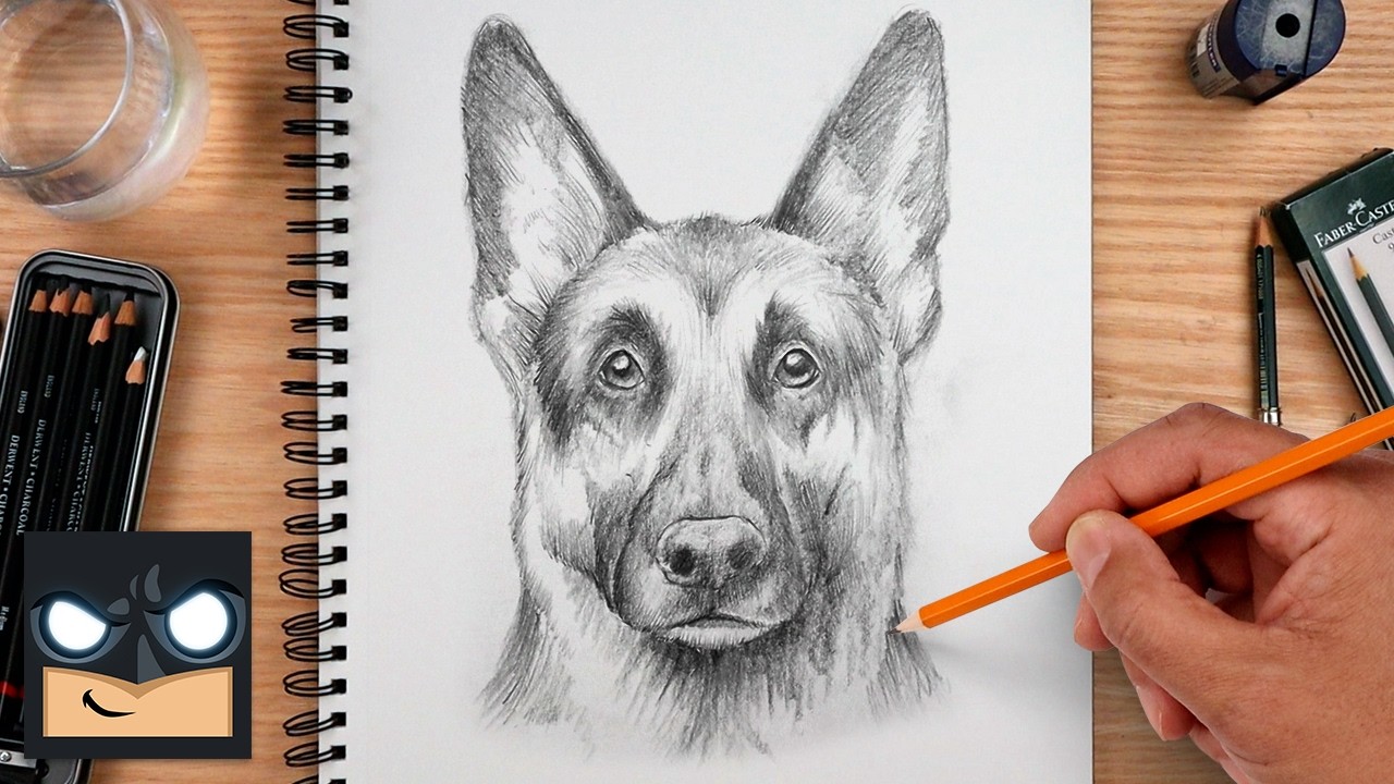 How to Draw German Shepherd Dog | Step-by-Step Drawing Tutorial