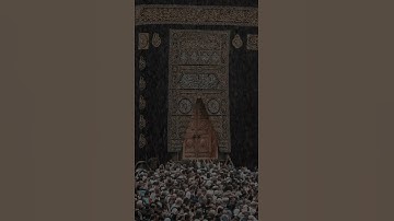 سعد الغامدي (سورة هود)