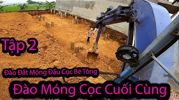 Máy Xúc Đào Đất Móng Đầu Cọc (MÓNG NHÀ) T2. Đào Đài 1 Cọc Cuối Cùng. Komatsu Pc50-2