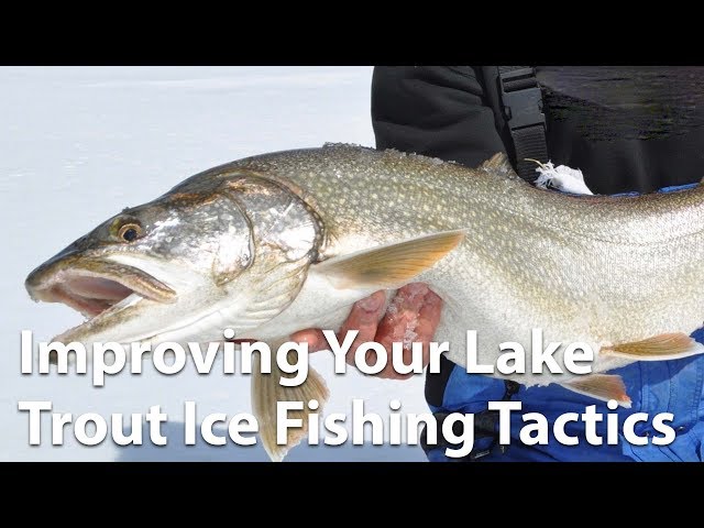 Webinar: Improve Your Lake Trout Ice Fishing Tactics 