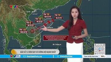 Dự báo thời tiết 9h10 - 21/10/2025 | Bão số 12 hôm nay cường độ mạnh nhất | VTVWDB