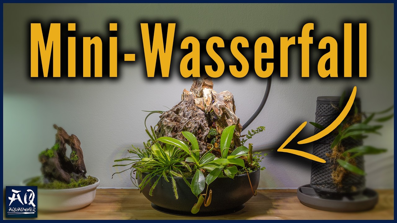 Mini-Wasserfall selber bauen für fleischfressende Pflanzen | AquaOwner