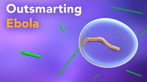 Outsmarting Ebola Virus: Innovative Research on Treatment