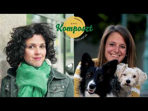 Videó: Megbízható sündisznó veszi a kutyájával a barátait a hóban
