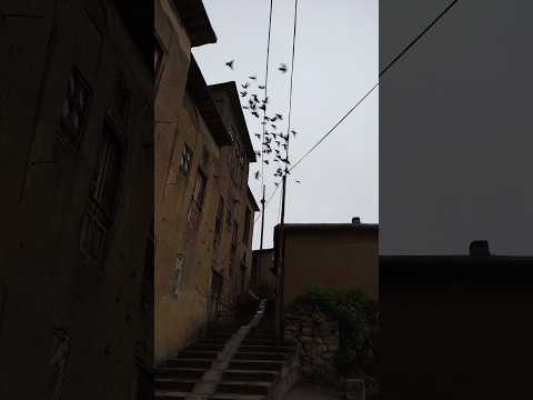 Iran: Masuleh