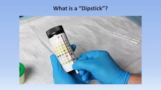 Interpretation of the Urinalysis (Part 2) - The Dipstick