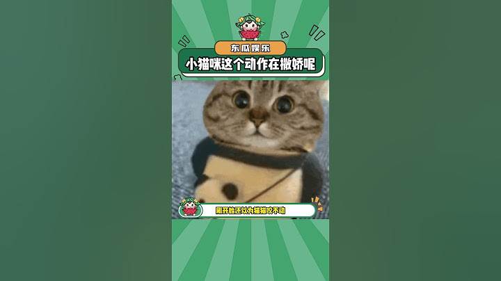 小猫咪这个动作是在撒娇呀~#猫咪 #撒娇 #可爱 #娱乐评论大赏#shorts