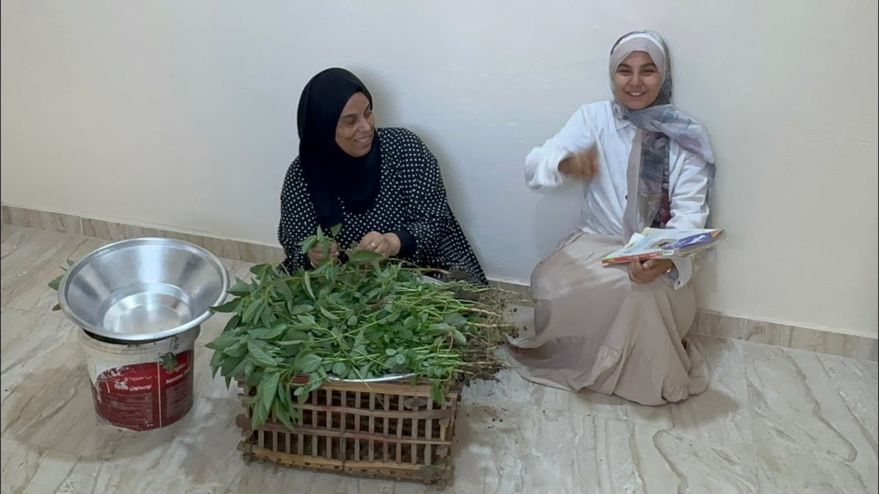 لينا فى كل حاجه لمستنا اصل الشطاره شغلتنا 👌 قلت ليكم بيتى الجديد وش السعد عليا بدأنا يومنا من أوله 