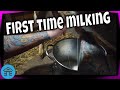 Milking our goat for the first time