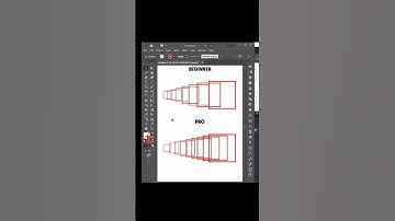 Difference between beginner and pro graphic designer #adobeillustrator #graphicdesign