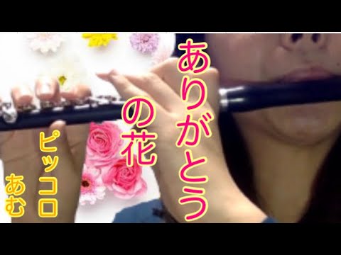 【ピッコロ】ありがとうの花　演奏してみた