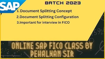 Document Splitting Concept & Configurations in SAP | Important for Interview in FICO | Pehalwan Sir