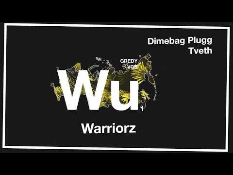 Dimebag Plug x TVETH — Wu-Warriorz