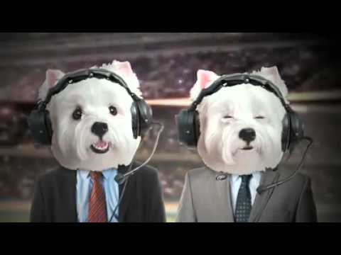 Cesar Canine Cuisine Westie Super Bowl Youtube