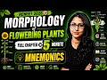 MNEMONICS OF MORPHOLOGY OF FLOWERING PLANTS |COMPLETE CHAPTER 5 MIN #morphologyoffloweringplants