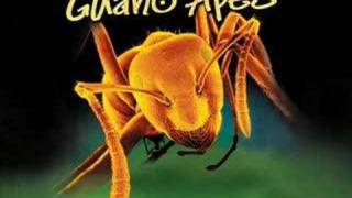 Guano Apes- Open Your Eyes W/lyrics chords