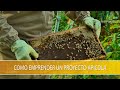 Como Emprender un Proyecto Apicola - TvAgro por Juan Gonzalo Angel Restrepo