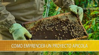 Como Emprender un Proyecto Apicola  TvAgro por Juan Gonzalo Angel Restrepo