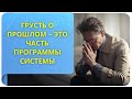 Грусть о прошлом – это часть программы Системы